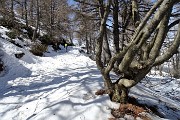 27 Fondo ora ben innevato